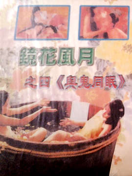 镜花风月系列:人鬼激情缠绵 (1992)