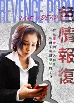 色情报复