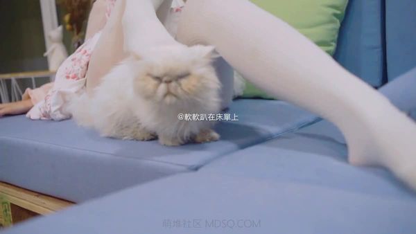 铃木美咲(软软趴在床单上)-猫咖自拍